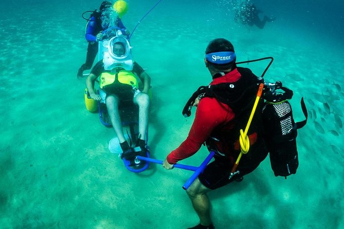 Sea Trek and Diving for Handicaped People - Expectations and Policies