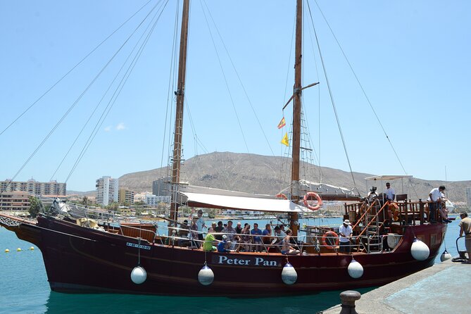 Sealife Dolphin & Whale Watching Aboard Portuguese Schooner - Wildlife Encounters