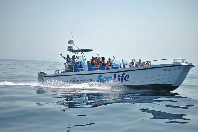 Sealife Sea Safari, Dolphin Watching With Marine Biologists Lagos - Meeting Point Details