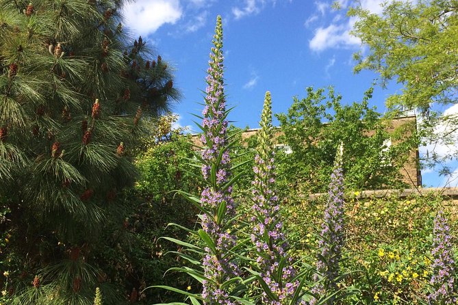 Secret Gardens Tour of London With Afternoon Tea - Inclusions and Logistics