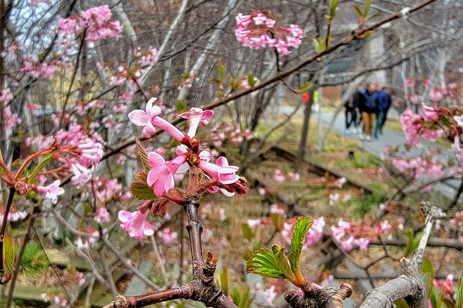 Secrets of the High Line - Booking Information