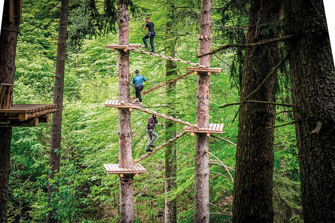 Seilpark High-Ropes Adventure Park Admission in Interlaken (Mar ) - Inclusions and Requirements