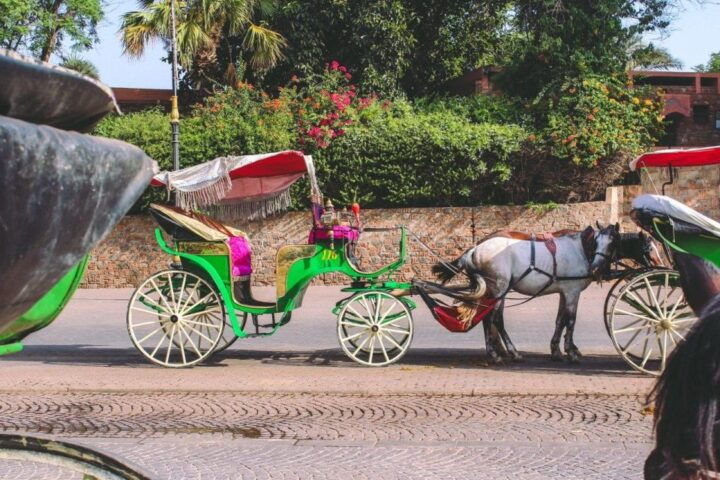 Sensory Journey Through Marrakech Souks. - Exclusive Shopping Experience