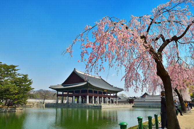 Seoul Full Day Private Tour Gyeongbokgung Palace, Insadong & More - Itinerary Overview