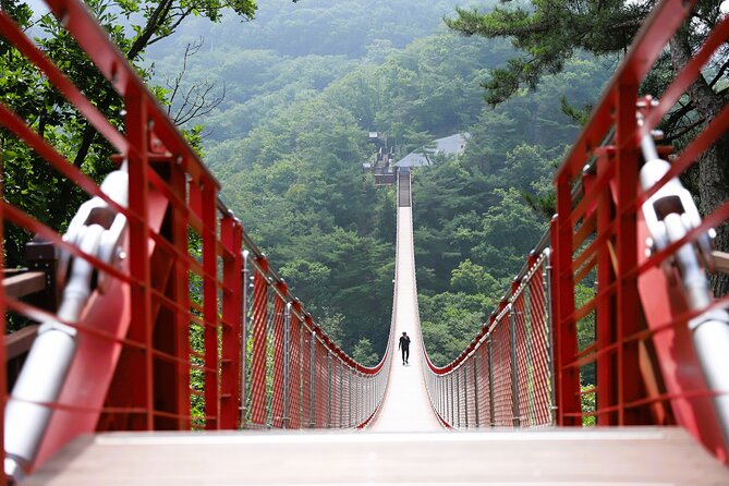 Seoul: South Korea DMZ, Mt. Gamak & Fall Foliage With Lunch - Cancellation Policy Details