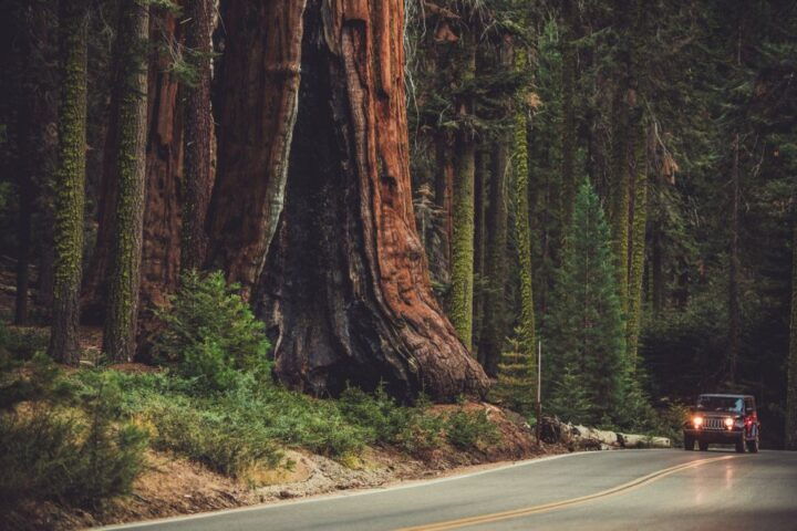 Sequoia: Kings Canyon Self-Driving Audio Guide - Experience Highlights