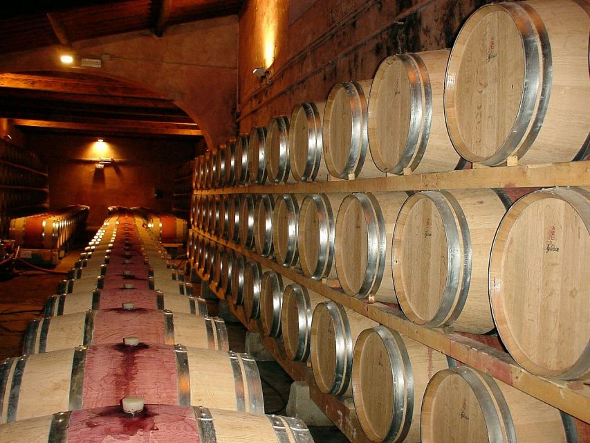 Serra Da Arrábida: Private Tour With Wine Tasting - Wine Tasting Experience at Adega-Museu