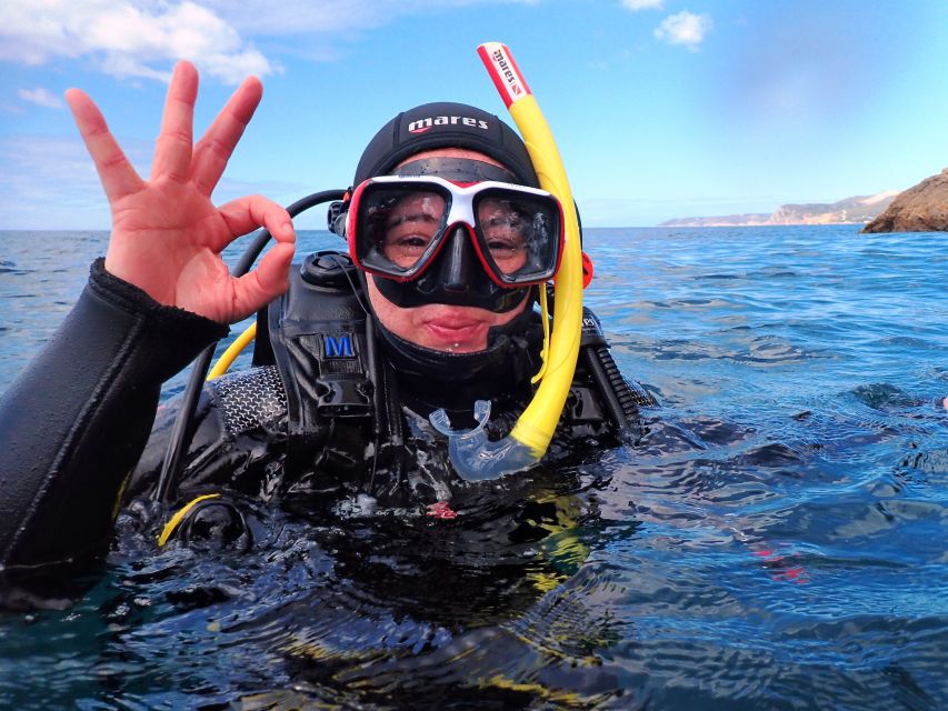 Sesimbra: Arrábida Marine Reserve Scuba Diving Experience - Experience Highlights
