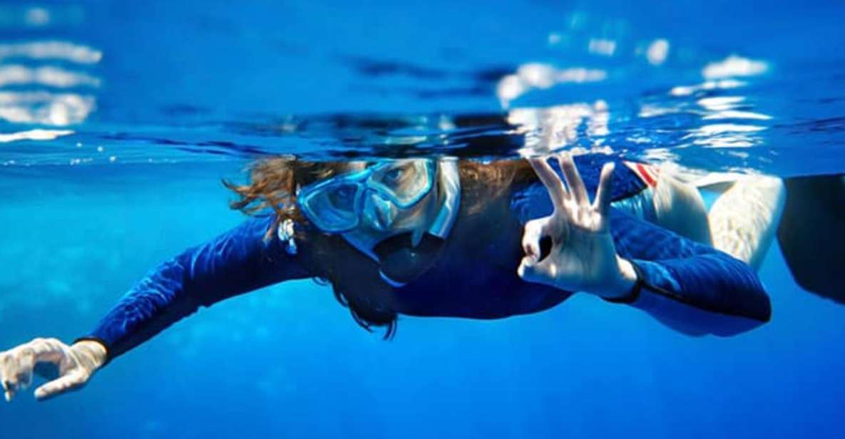Sesimbra: Snorkeling in the Ocean - Marine Reserve Exploration Details