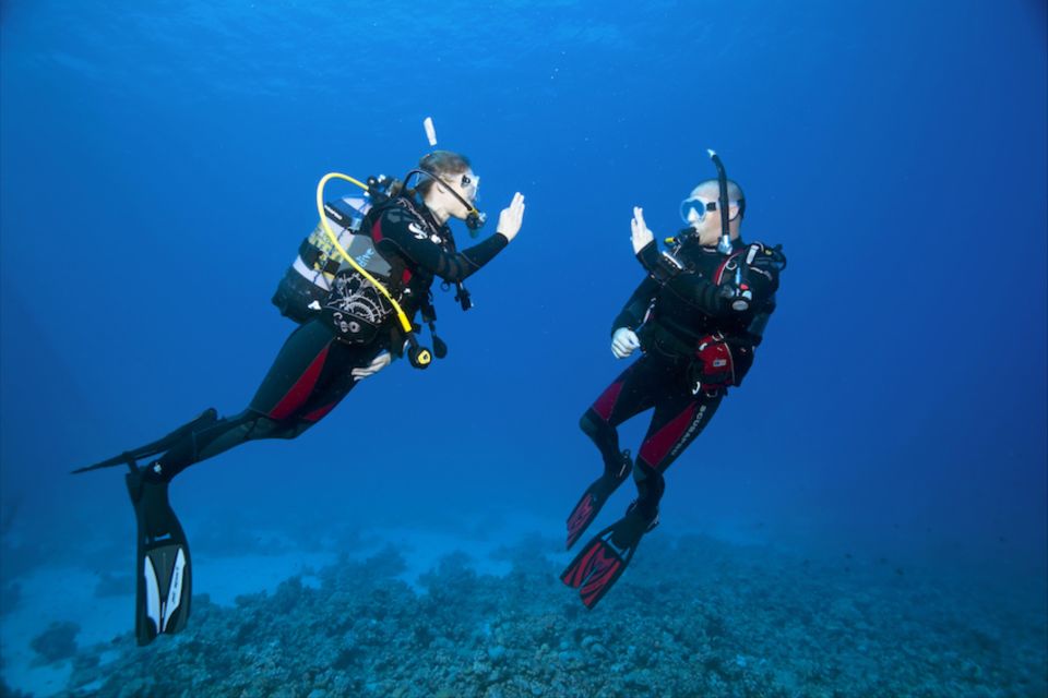 Sesimbra: Try Scuba Diving - Additional Information