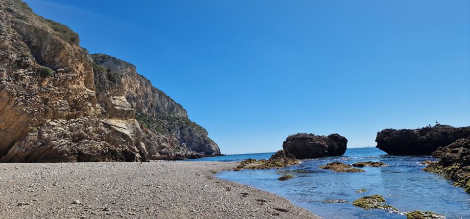 Sesimbra: Wild Beaches and Caves Boat Tour - Activity Highlights
