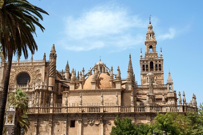 Seville One Day Trip From Granada, Alcazar, Cathedral and Giralda Guided Tour. - Reviews