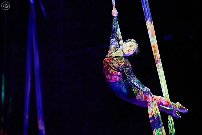 Shanghai Must-See Acrobatics Show With Private Transfer - Logistics and Meeting Points