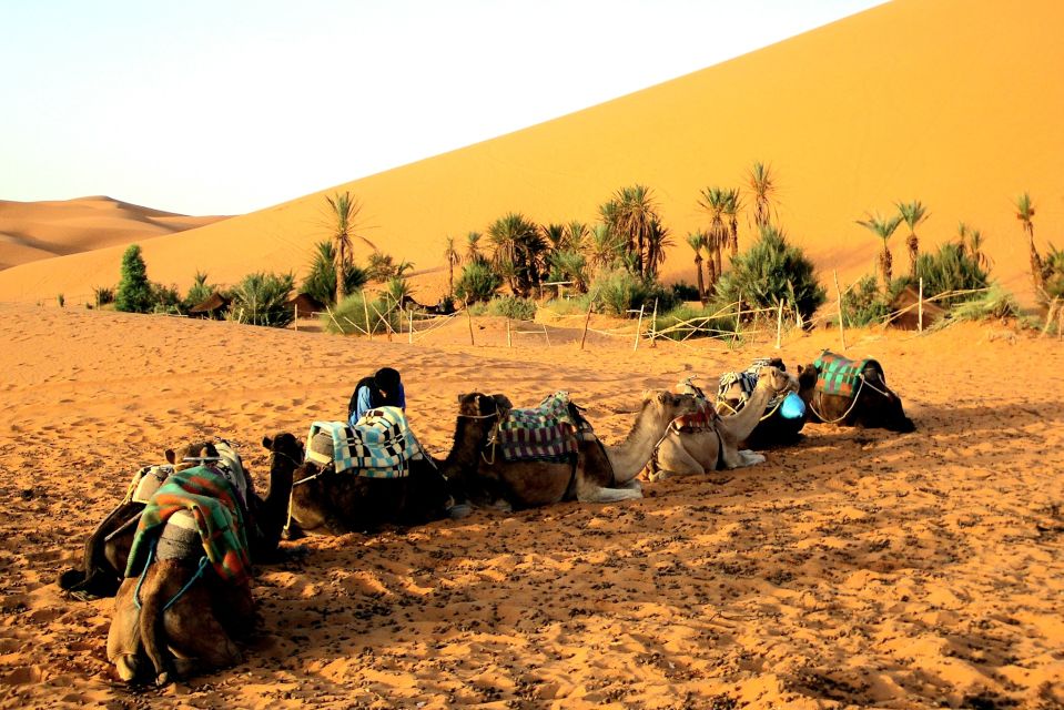Shared 3-Day Sahara Desert Tours From Marrakech - Experience Highlights