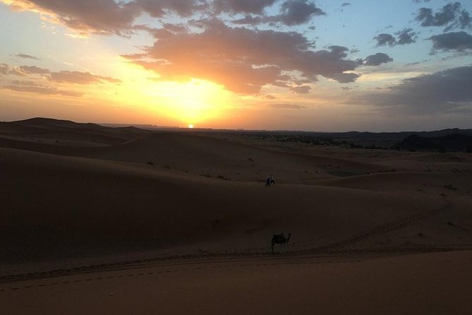 Shared 4 Days Tour From Marrakech To Fes Via Erg Chebbi Desert - Inclusions and Accommodations