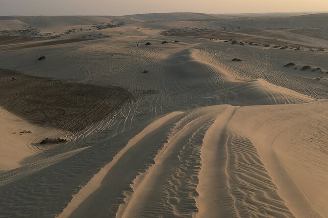 Shared Desert Safari Camel Ride Sandboarding and Inland Sea - Sandboarding Thrills
