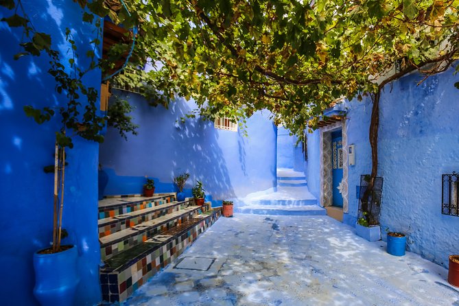 Shared Group Chefchaouen Day Trip From Fez - Customer Experiences