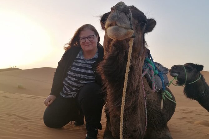 Shared Group Tours From Fes to Merzouga Desert - 2 Days 1 Night - Accommodation Information