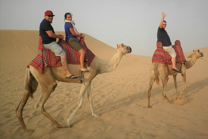 Sharing or Private Safari, Sand Boarding, Camel Ride, Inland Sea Quick Swim - Meeting and Pickup