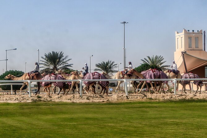 Sheikh Faisal, Camel Race Track Visit - Inclusions and Logistics