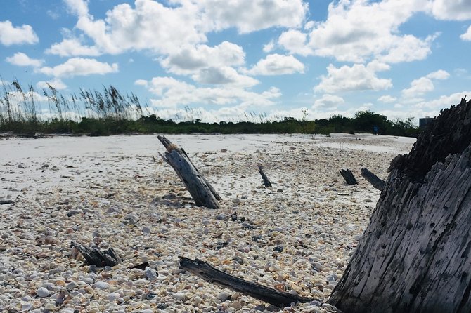 Shelling Tours - Fort Myers Beach / Naples - Coastal Scenery Experience