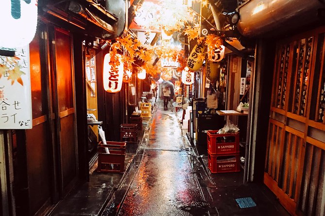 Shinjuku City Tokyo Small-Group Tour With Karaoke - Logistics