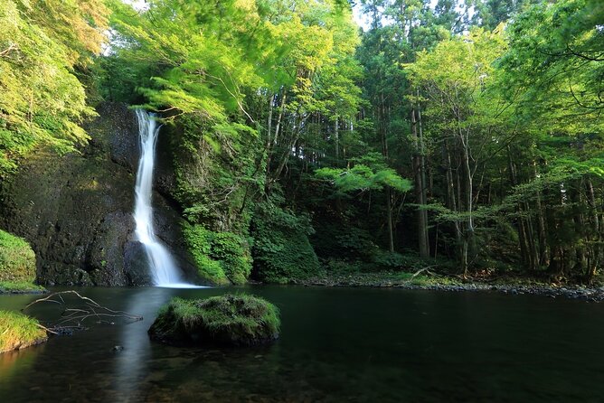 Shirakami-Sanchi: Private Day Hiking Tour  - Aomori Prefecture - Inclusions and Services