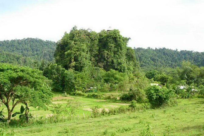 Shore Excursion Puerto Princesa Underground River Tour UNESCO - Cave Exploration