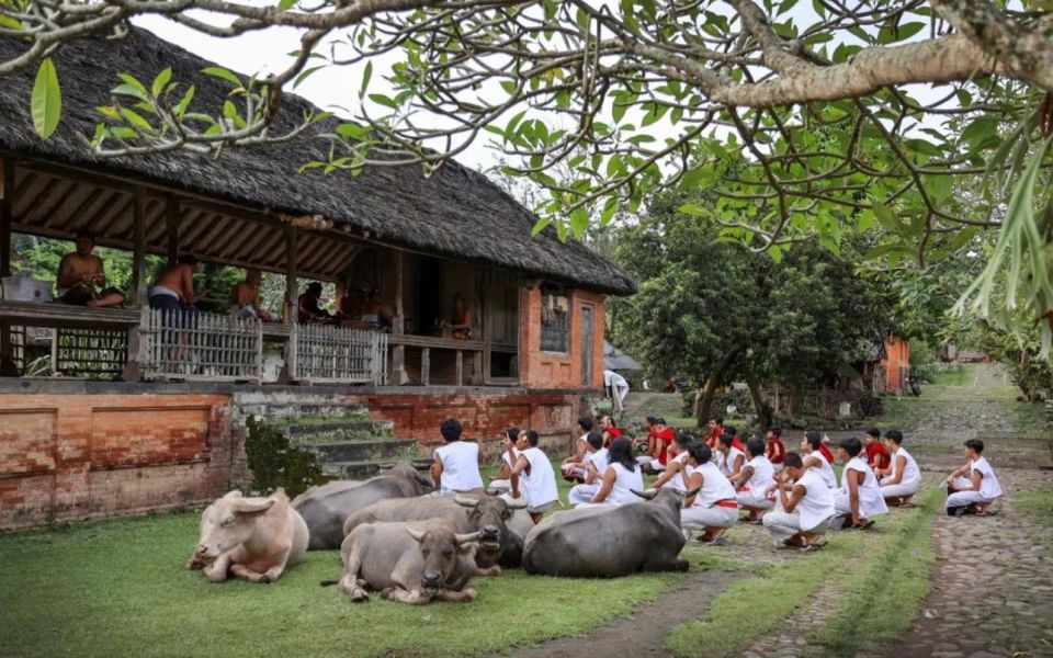 Sidemen: Traditional Villages, Salt Farm & Tirta Gangga Tour - Village Exploration