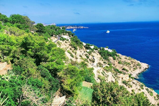 Sightseeing Day Trip Along the South West Coast of Ibiza - Travel Tips and Recommendations