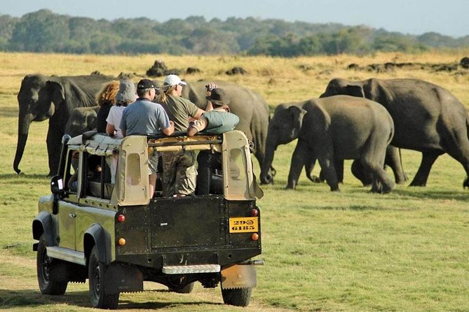 Sigiriya Day Tours With Sri Lanka Friendly Driver - Insider Tips for a Memorable Experience