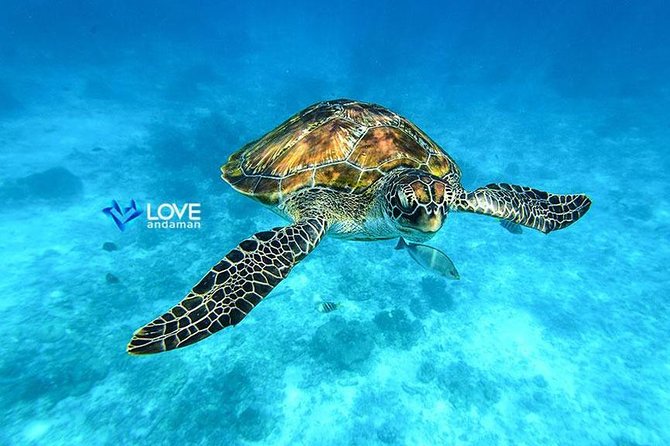 Similan Islands Snorkeling Day Trip By Love Andaman From Phuket - Meeting and Pickup Details