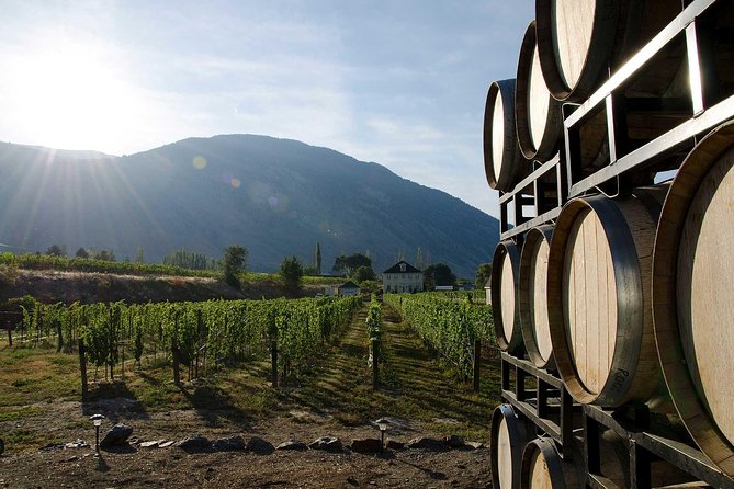 Similkameen Valley Wine Tour - Classic - 4 Wineries - Winery 2: Vineyard Tour
