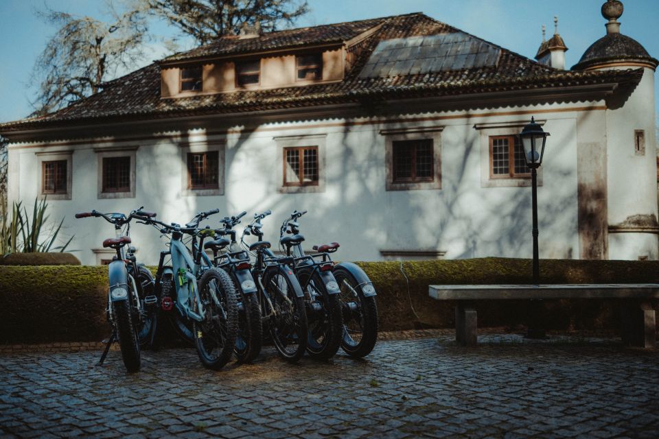 Sintra: 8-Hour Fat E-Bike Rental - Experience Highlights