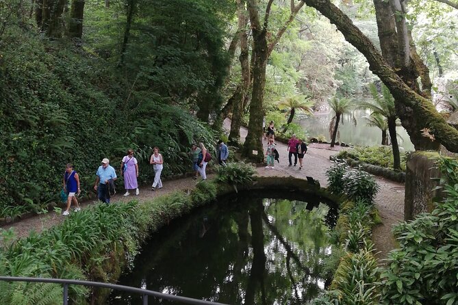 Sintra & Cabo Da Roca - Private Van Tour - Customer Reviews