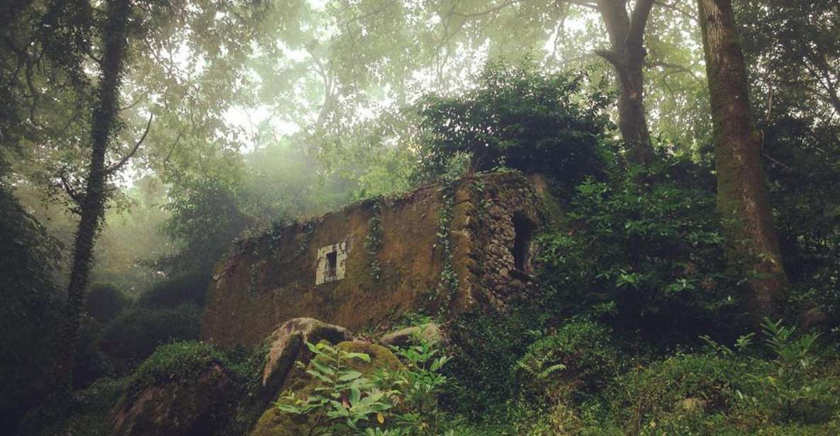 Sintra Guided Visit: Life and Death at the Capuchos Convent - Experience Highlights