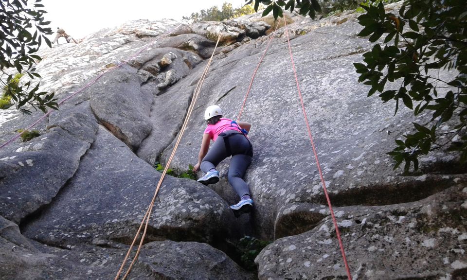 Sintra: Half-Day Climbing Experience - Key Features