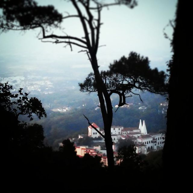 Sintra: Legends and Medieval Stories Private Walking Tour - Experience Highlights