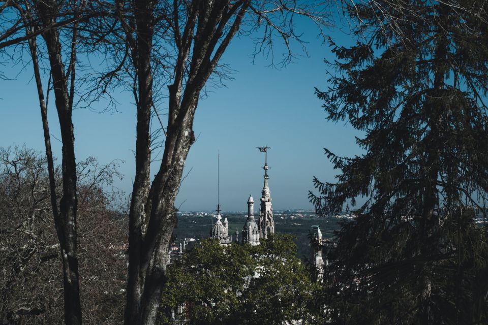 Sintra: Quinta Da Regaleira Half-Day Guided Tour - Experience Offered