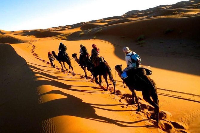 Six Days From Casablanca To Sahara - Accommodations and Meals