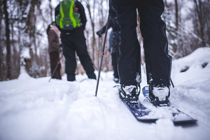 Skiing (Hok Ski) Excursion in Jacques-Cartier National Park - Wildlife Sightings