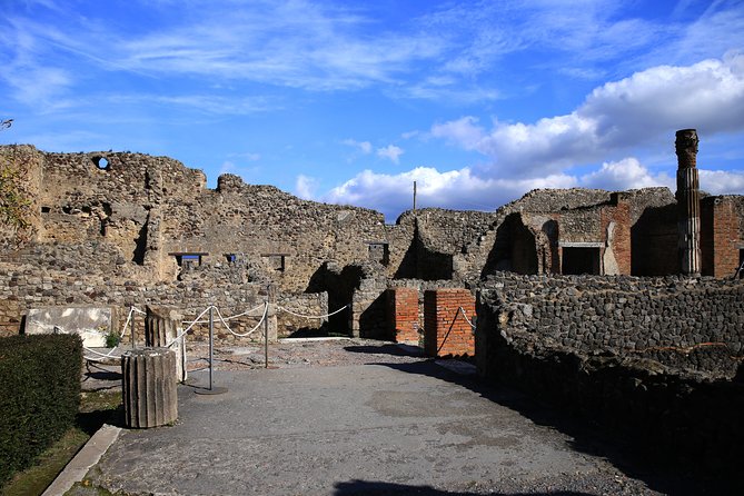 Skip the Line Pompeii Tour for Kids and Families W Special Guide - Target Audience and Features