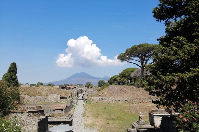 Skip-The-Line Pompeii & Volcano Vesuvius Day Tour W Hotel or Port Pickup - Tour Duration & Pickup Options