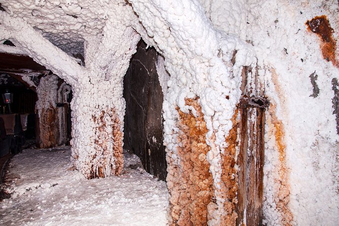 SKIP the LINE: Private Wieliczka Salt Mine Guided Tour From Kraków - Viator Details