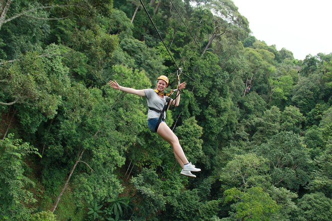 Skyline Jungle Zipline Experience Chiang Mai - Tour Highlights