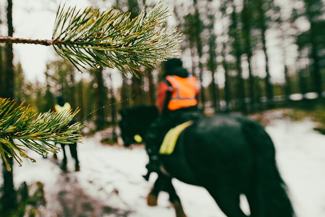 Small-Group Arctic Circle Horse Riding From Rovaniemi - Schedule and Group Size