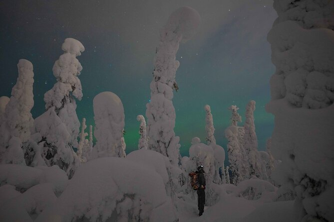 Small-Group Aurora Borealis Snowshoeing Adventure From Rovaniemi - Expectations