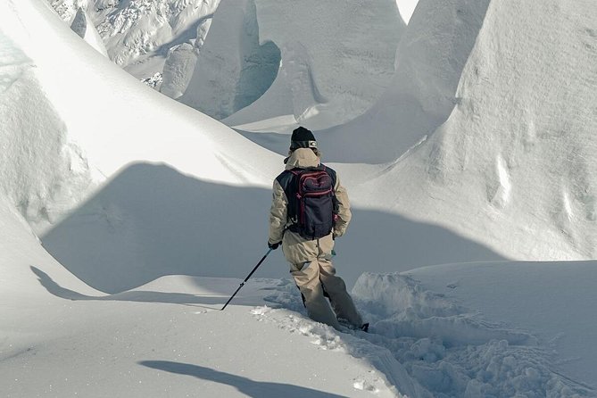 Small-Group Backcountry Skiing Tour to Tasman Glacier, Aoraki  - Aoraki Mount Cook National Park - Expectations and Requirements