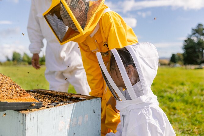 Small-Group Beekeeping Experience in Tauherenikau - Booking and Accessibility Details