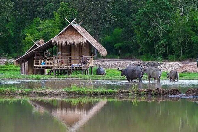 Small-Group Bicycle Ride From Chiang Mai City to Lake Huay Tueng Tao - Last Words